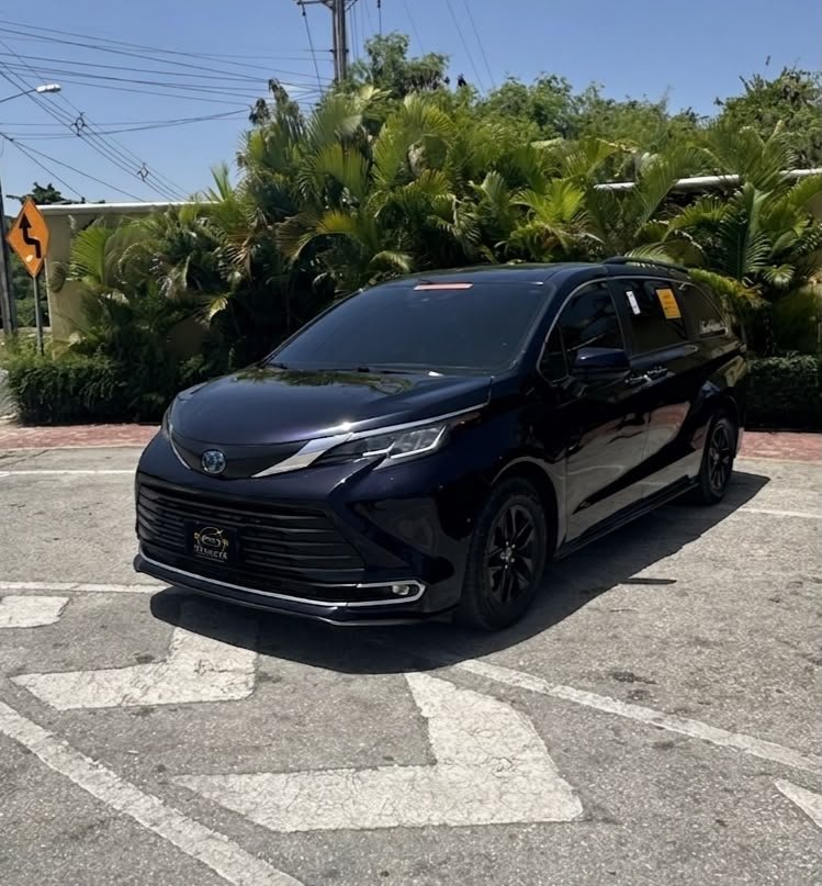 Mini Van private transfer in Punta Cana